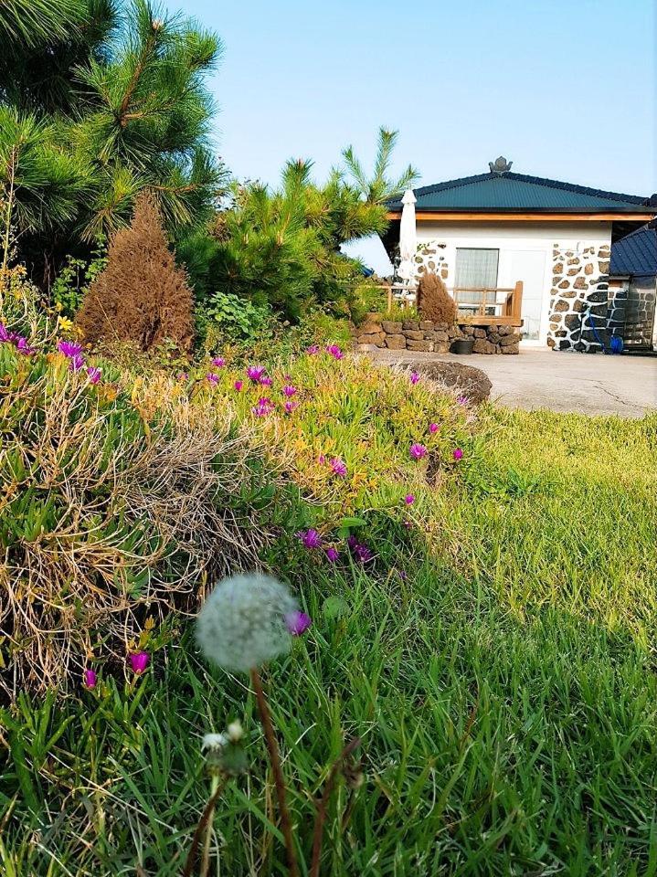 Hadori Mindfulness Jeju Exterior foto