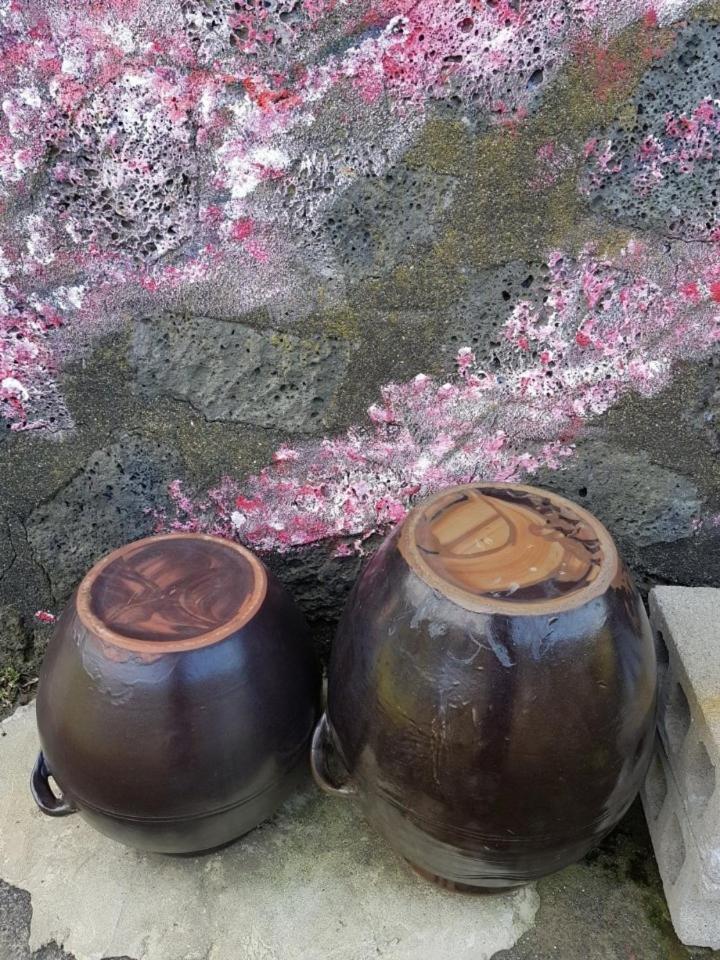 Hadori Mindfulness Jeju Exterior foto